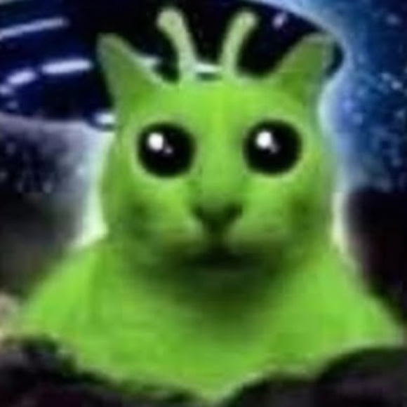 Meet your Posher, Max - Picture 1 of 1